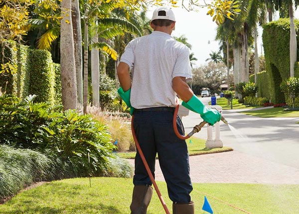 About Gheens LA Pest Control